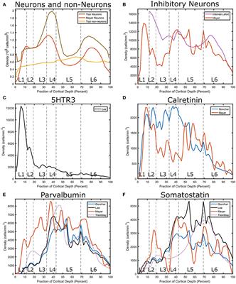 Cell Densities in the Mouse Brain: A Systematic Review